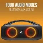 Raycon S53 Power Boombox Speaker, Portable Bluetooth Wireless Speaker with 3.5mm AUX Cable, FM Radio, 21 Hours of Battery Life, Three Sound Profiles, IPX5 Water Resistance, Black - Image 5